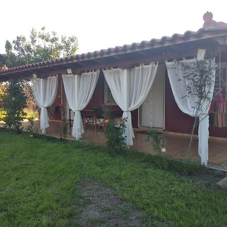 Olive Garden Guest House Κυπαρισσία Εξωτερικό φωτογραφία