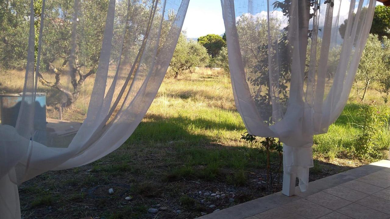 Olive Garden Guest House Κυπαρισσία Εξωτερικό φωτογραφία