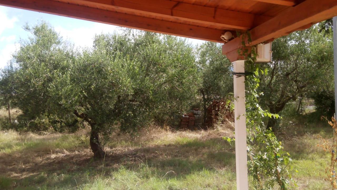 Olive Garden Guest House Κυπαρισσία Εξωτερικό φωτογραφία