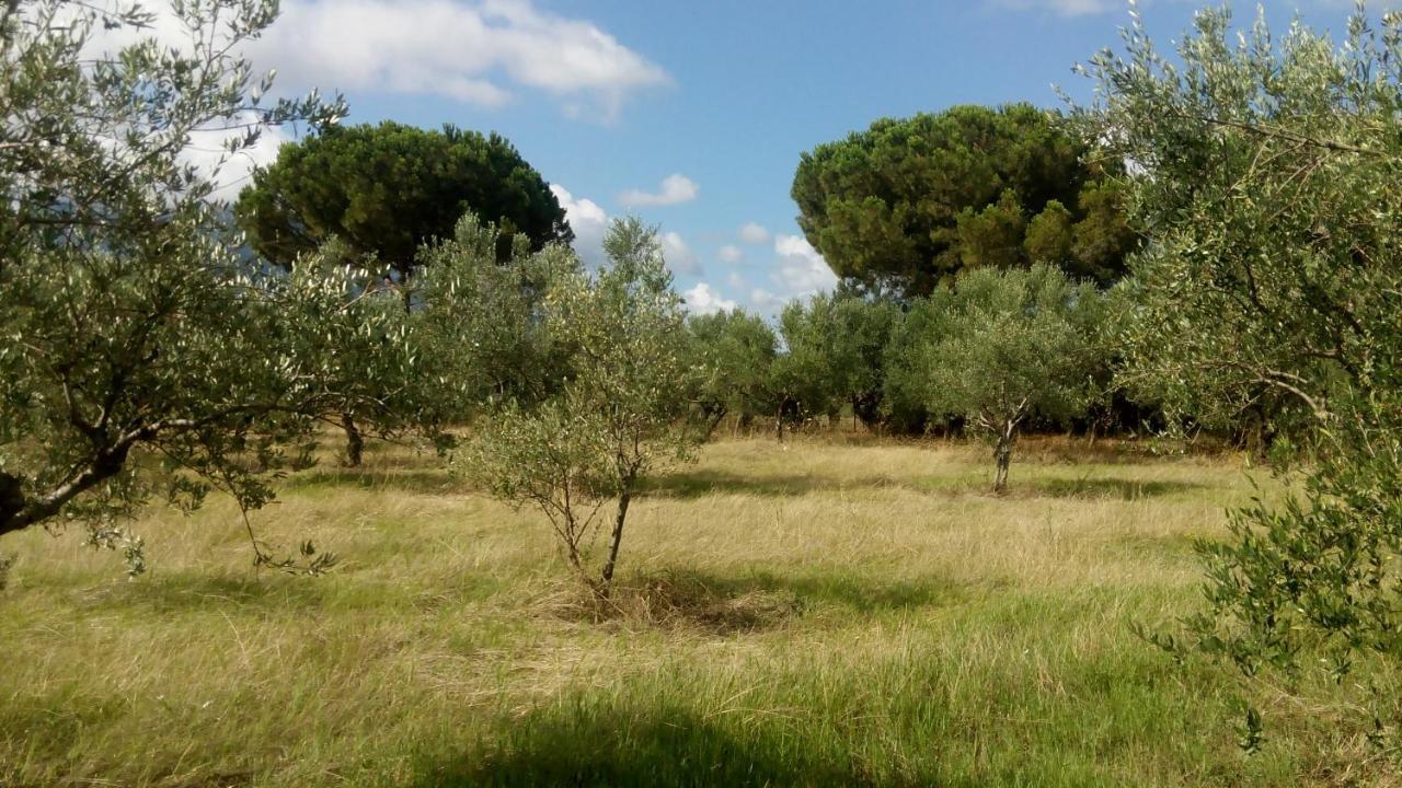 Olive Garden Guest House Κυπαρισσία Εξωτερικό φωτογραφία