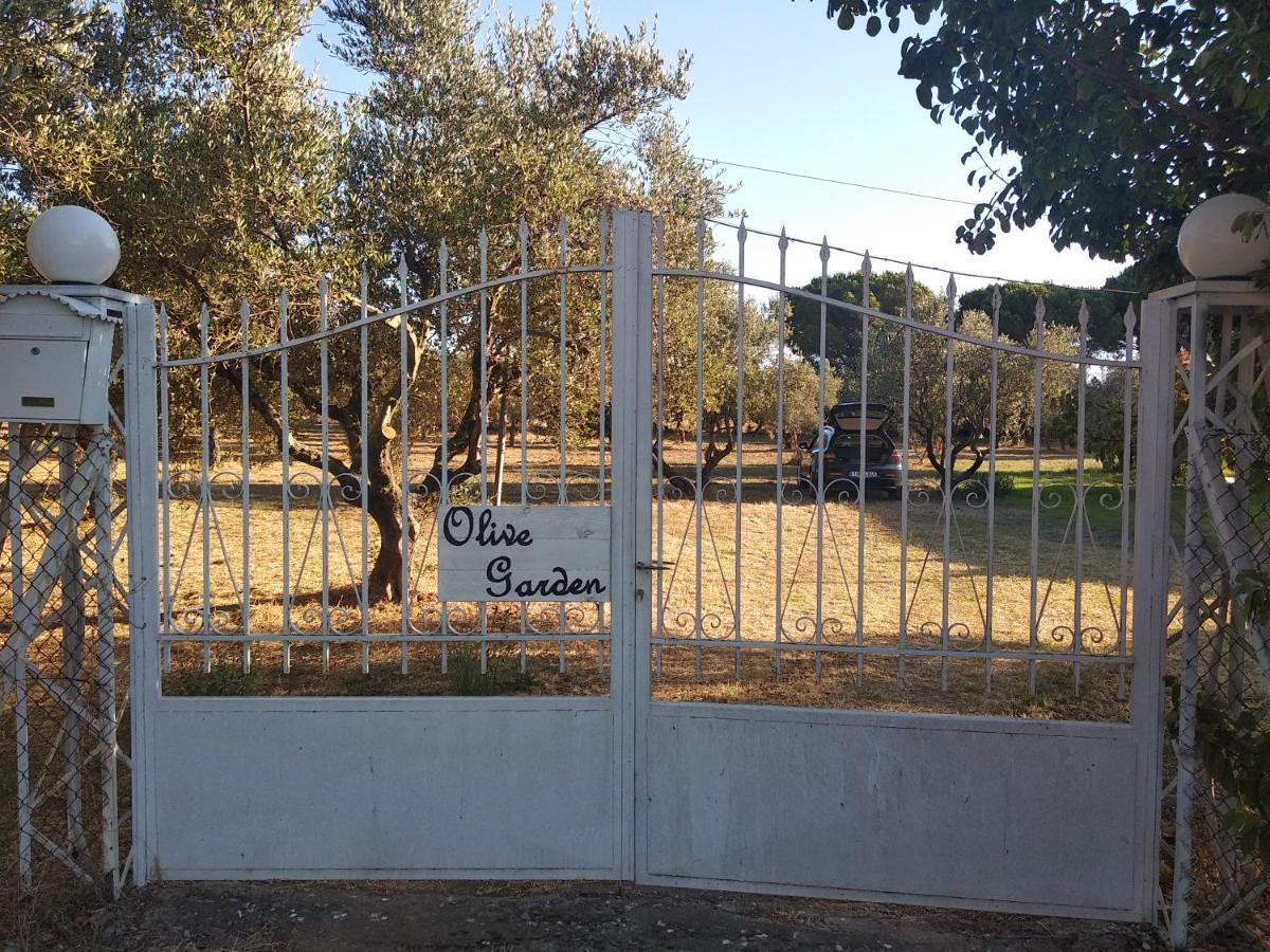 Olive Garden Guest House Κυπαρισσία Εξωτερικό φωτογραφία
