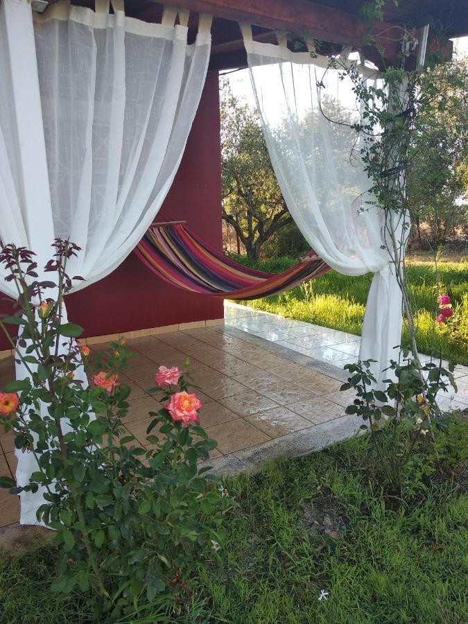 Olive Garden Guest House Κυπαρισσία Εξωτερικό φωτογραφία